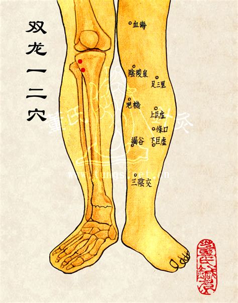 居家大門 双龙入穴